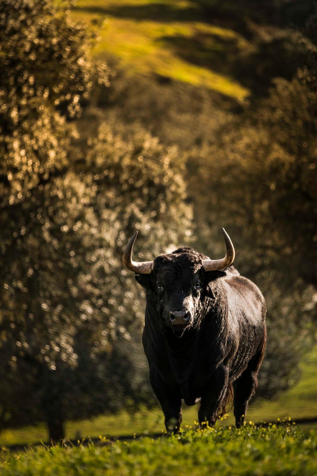Finca El Cotillo Linares  Kültér fotó