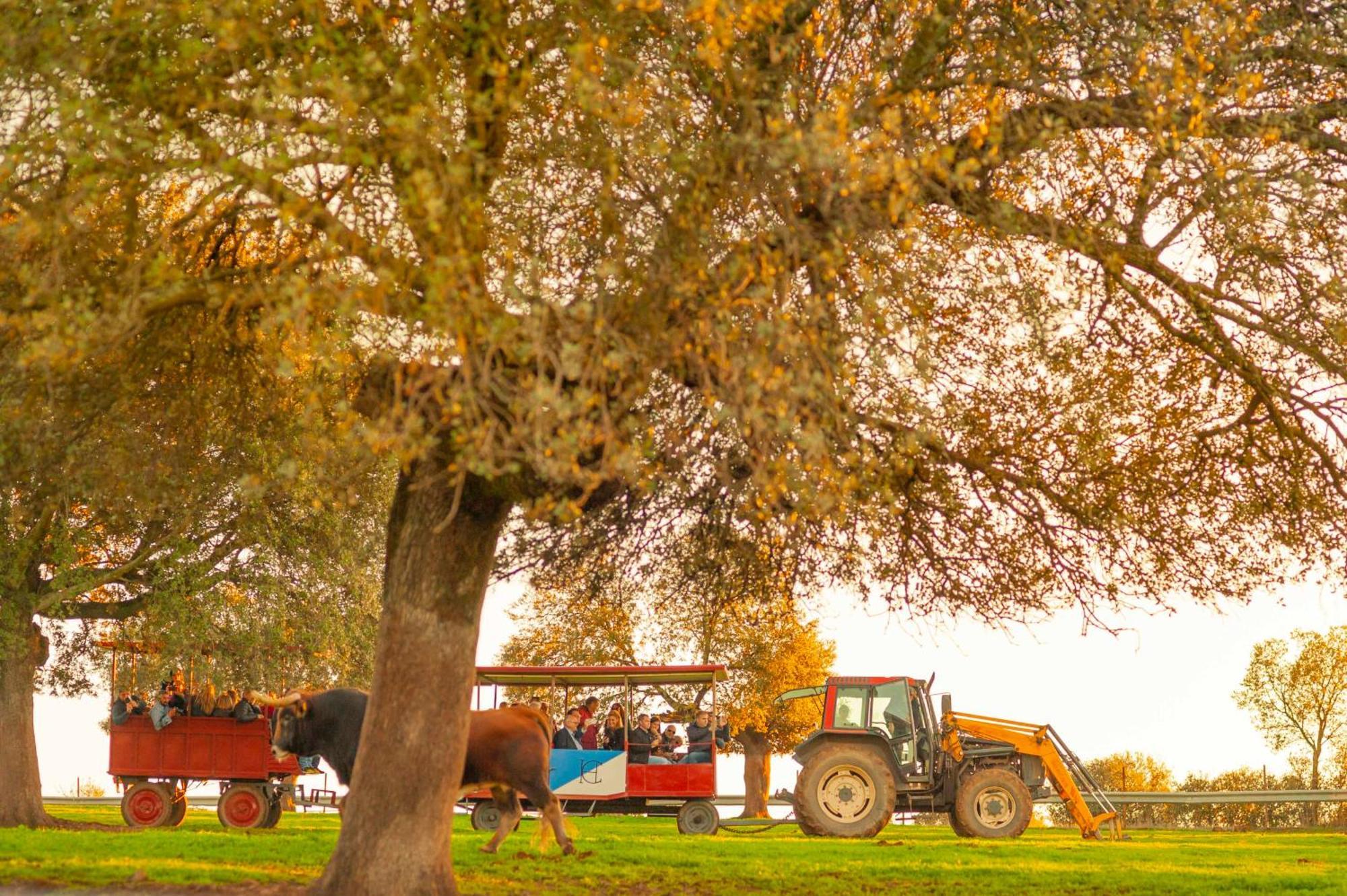 Finca El Cotillo Linares  Kültér fotó